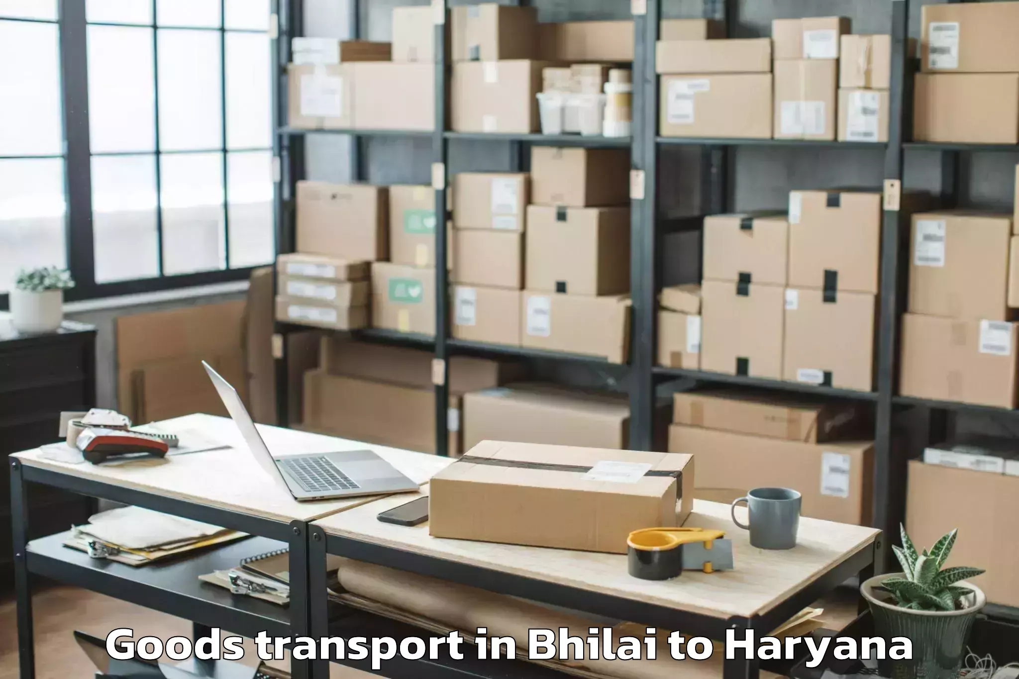 Book Your Bhilai to Maharshi Dayanand University R Goods Transport Today